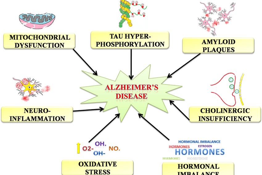 alzheimer’s disease lateral flow commlized