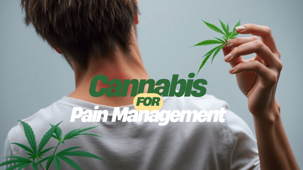 Cannabis in Pain Management