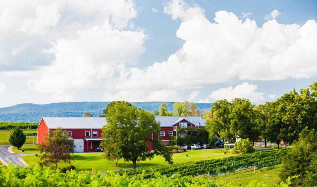 Discover Barnview Winery: Your Next Wine Adventure Awaits