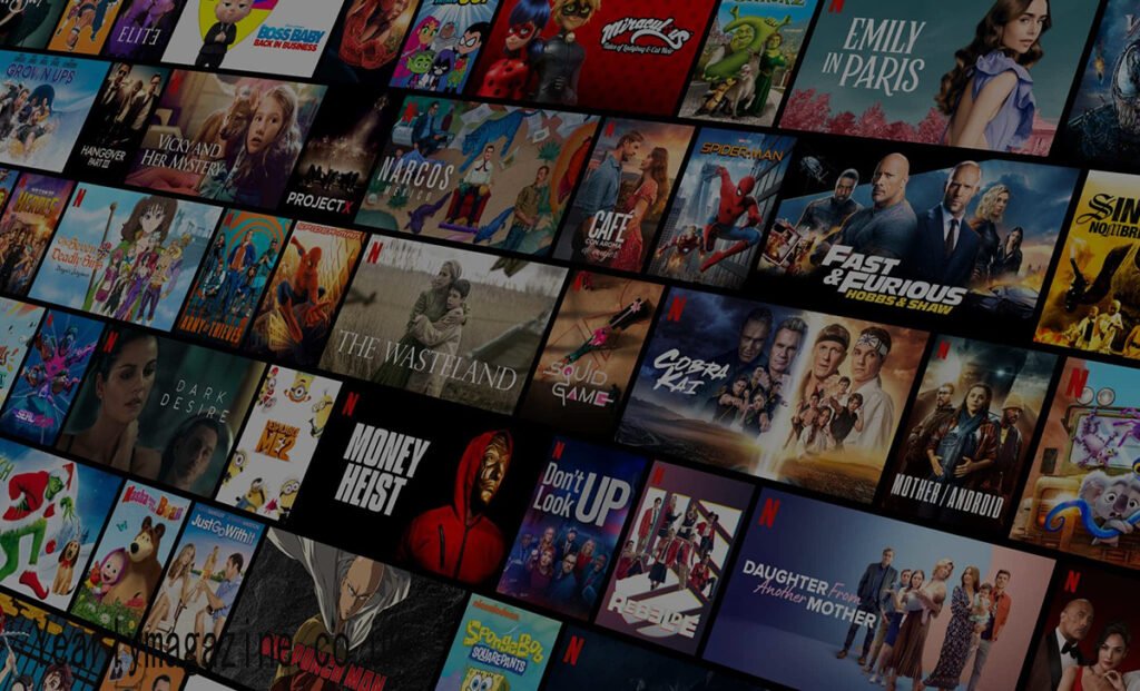 Netflix Premium Cookies update Woxmax.net: What You Need to Know