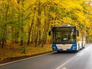 Albania transportation costs